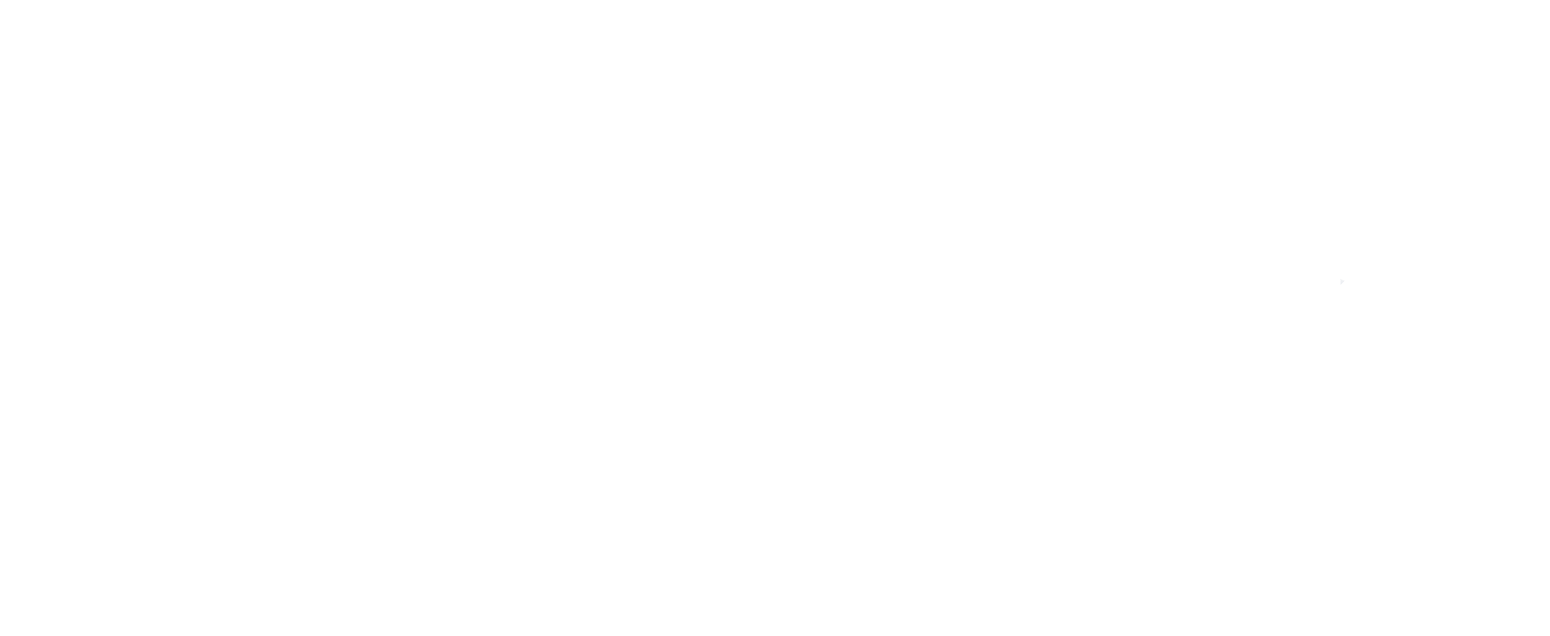 Midlands of South Carolina Black Nurses Association (MIDSCBNA)
